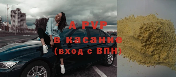 прущие грибы Арсеньев