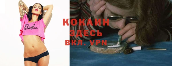 прущие грибы Арсеньев