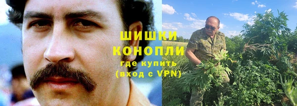 прущие грибы Арсеньев