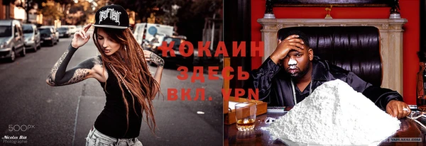прущие грибы Арсеньев