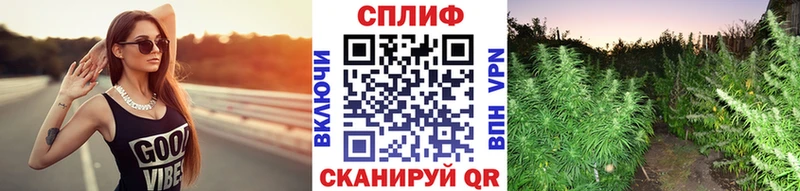 как найти закладки  hydra ссылки  МАРИХУАНА планчик  Усмань 